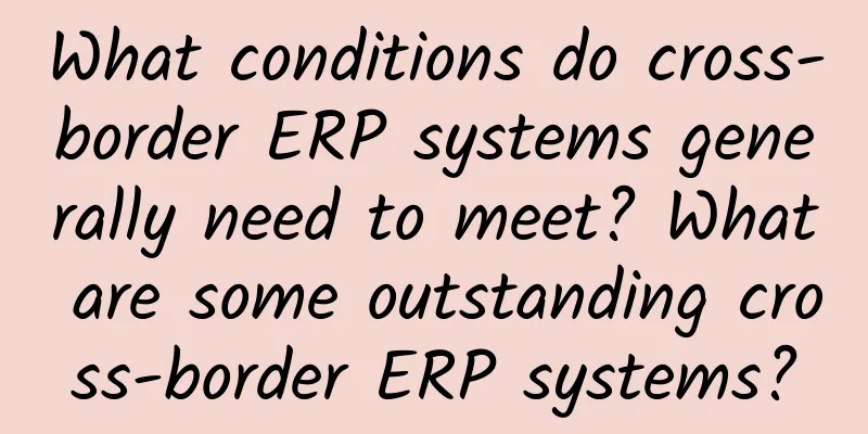 What conditions do cross-border ERP systems generally need to meet? What are some outstanding cross-border ERP systems?
