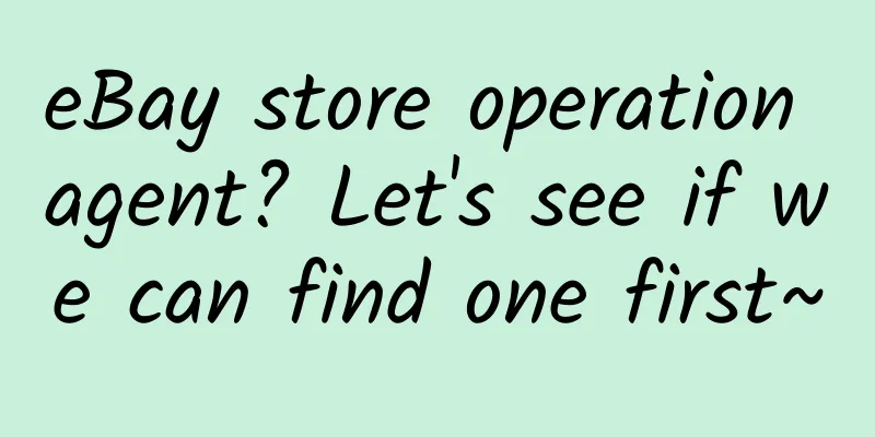 eBay store operation agent? Let's see if we can find one first~