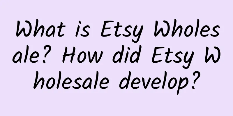 What is Etsy Wholesale? How did Etsy Wholesale develop?
