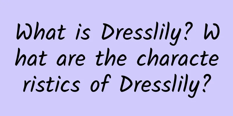 What is Dresslily? What are the characteristics of Dresslily?