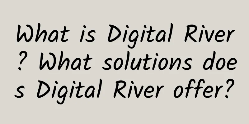 What is Digital River? What solutions does Digital River offer?