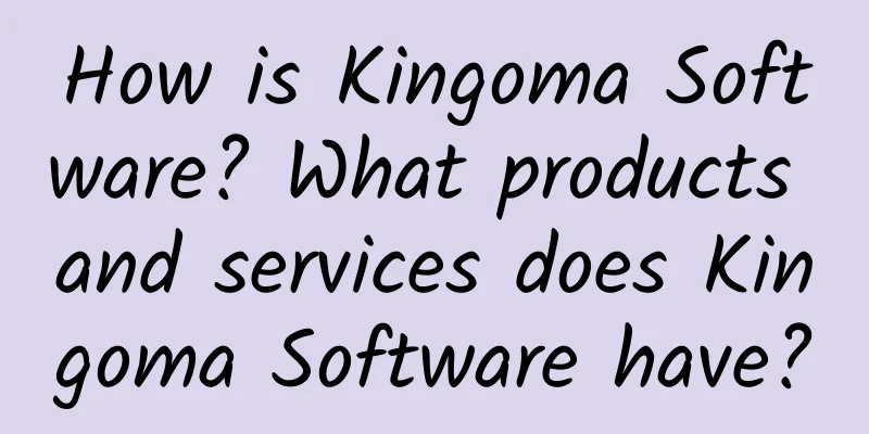 How is Kingoma Software? What products and services does Kingoma Software have?
