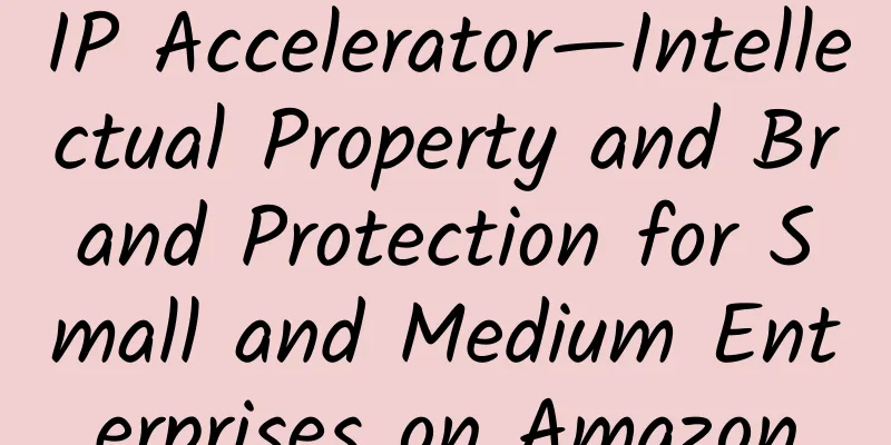 IP Accelerator—Intellectual Property and Brand Protection for Small and Medium Enterprises on Amazon