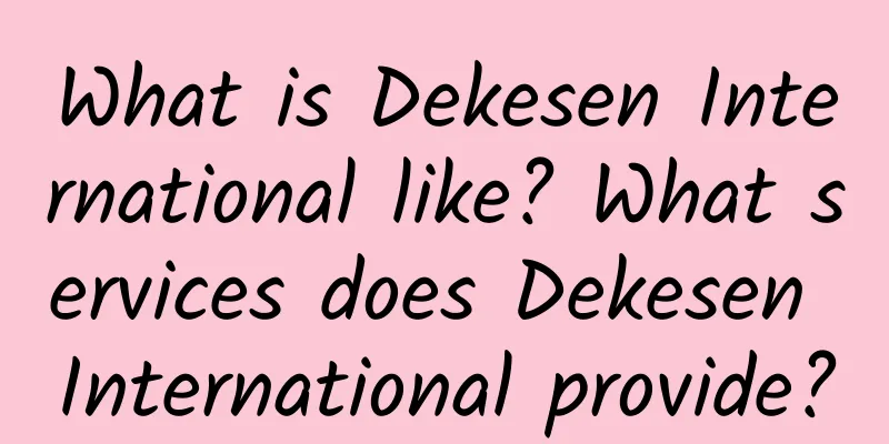 What is Dekesen International like? What services does Dekesen International provide?