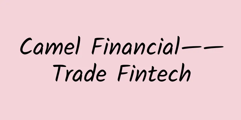 Camel Financial——Trade Fintech