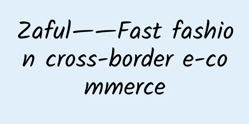 Zaful——Fast fashion cross-border e-commerce