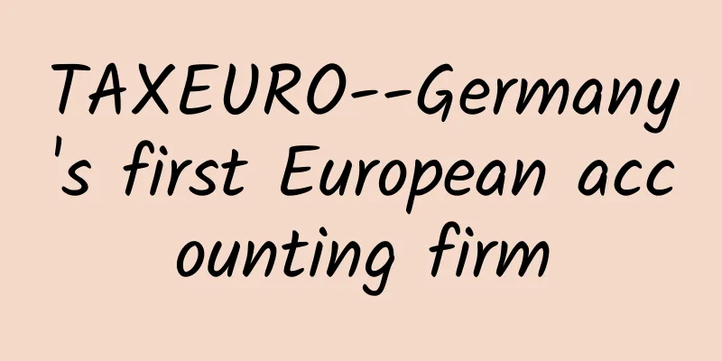 TAXEURO--Germany's first European accounting firm