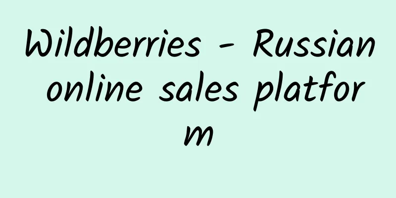 Wildberries - Russian online sales platform