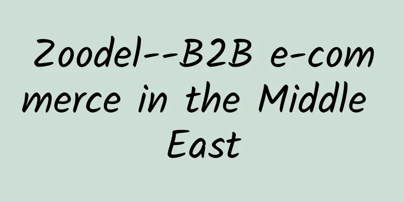 Zoodel--B2B e-commerce in the Middle East