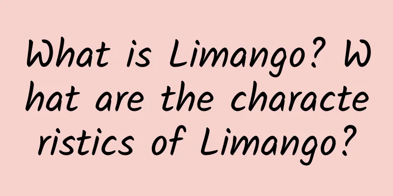 What is Limango? What are the characteristics of Limango?