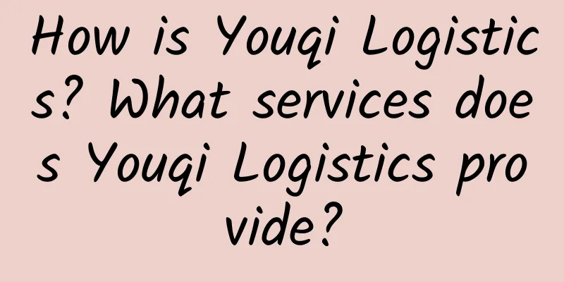 How is Youqi Logistics? What services does Youqi Logistics provide?