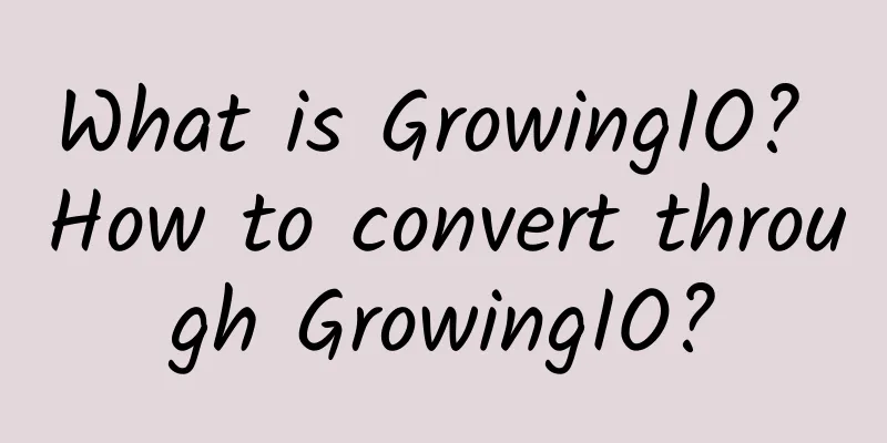 What is GrowingIO? How to convert through GrowingIO?