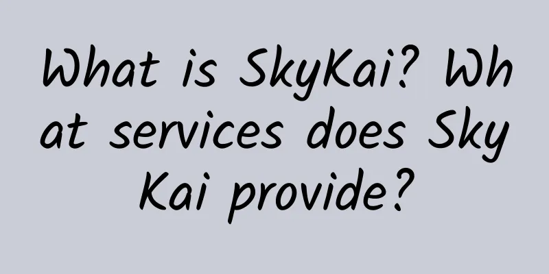 What is SkyKai? What services does SkyKai provide?