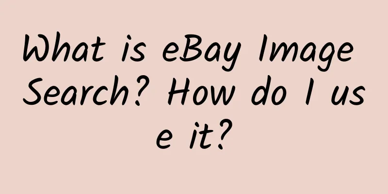 What is eBay Image Search? How do I use it?