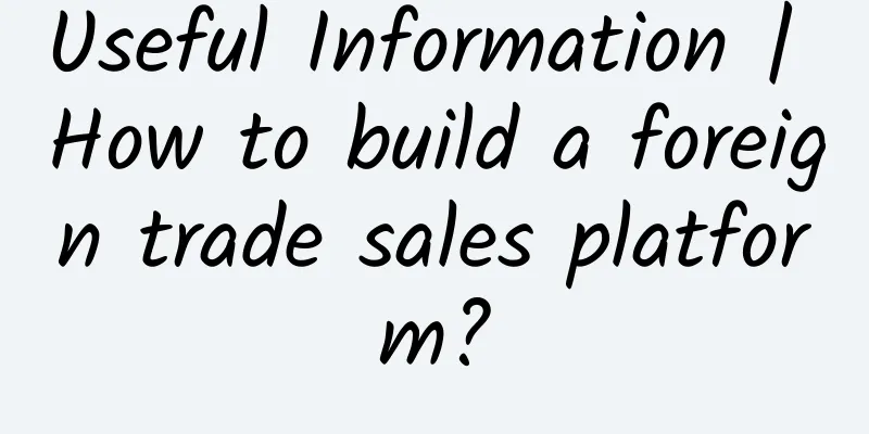 Useful Information | How to build a foreign trade sales platform?