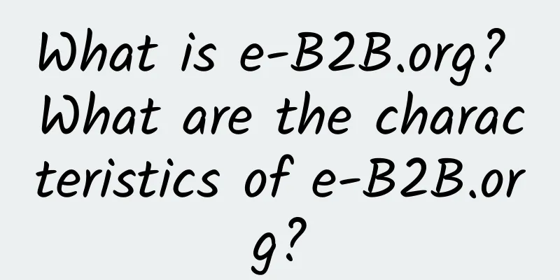 What is e-B2B.org? What are the characteristics of e-B2B.org?