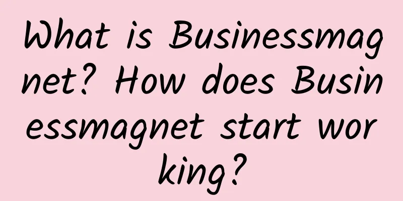 What is Businessmagnet? How does Businessmagnet start working?