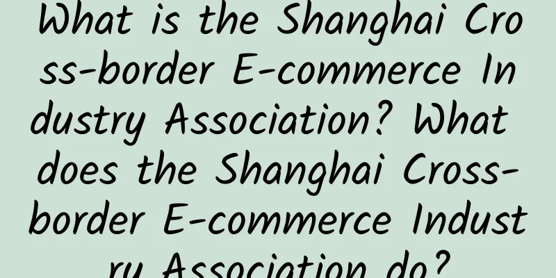 What is the Shanghai Cross-border E-commerce Industry Association? What does the Shanghai Cross-border E-commerce Industry Association do?