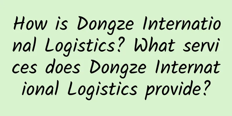 How is Dongze International Logistics? What services does Dongze International Logistics provide?