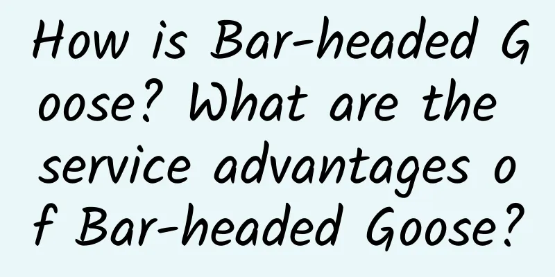 How is Bar-headed Goose? What are the service advantages of Bar-headed Goose?