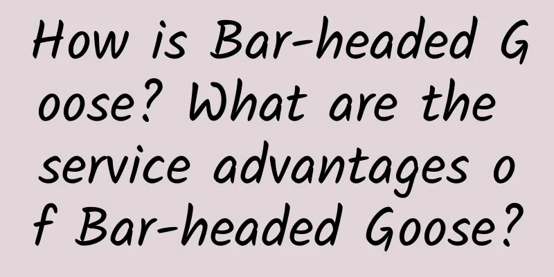 How is Bar-headed Goose? What are the service advantages of Bar-headed Goose?