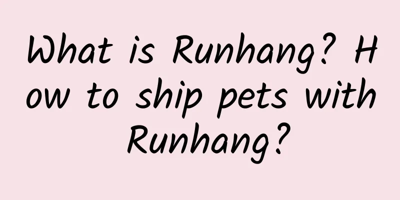 What is Runhang? How to ship pets with Runhang?