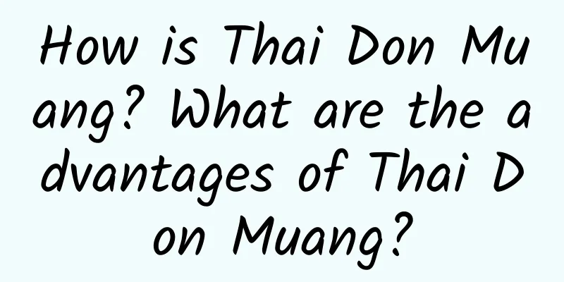 How is Thai Don Muang? What are the advantages of Thai Don Muang?