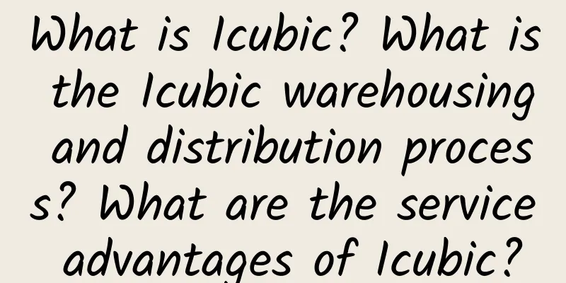 What is Icubic? What is the Icubic warehousing and distribution process? What are the service advantages of Icubic?