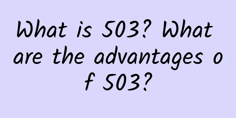 What is 503? What are the advantages of 503?