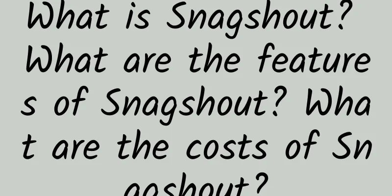 What is Snagshout? What are the features of Snagshout? What are the costs of Snagshout?