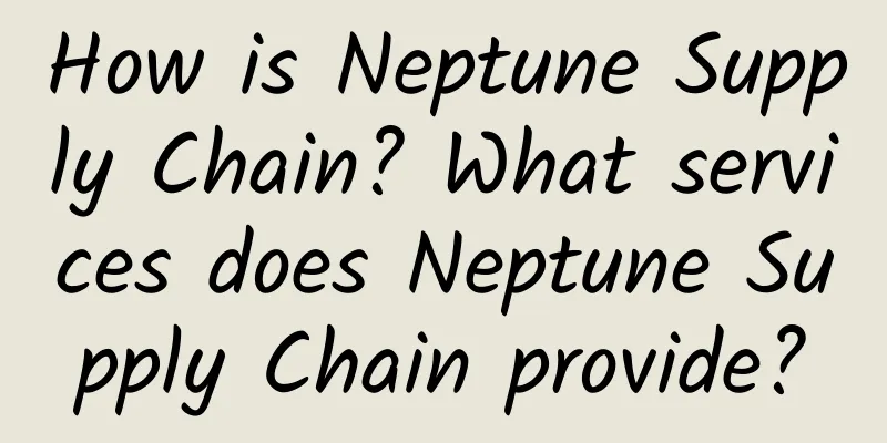 How is Neptune Supply Chain? What services does Neptune Supply Chain provide?