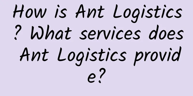 How is Ant Logistics? What services does Ant Logistics provide?