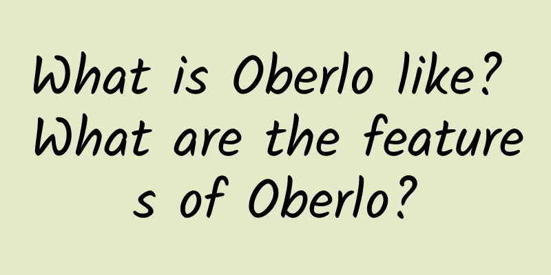 What is Oberlo like? What are the features of Oberlo?