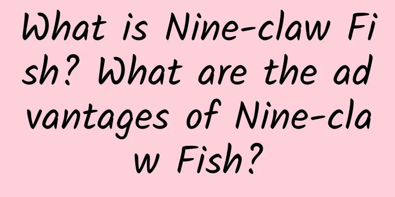 What is Nine-claw Fish? What are the advantages of Nine-claw Fish?