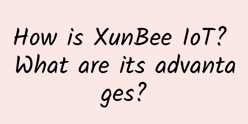 How is XunBee IoT? What are its advantages?