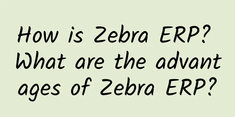 How is Zebra ERP? What are the advantages of Zebra ERP?