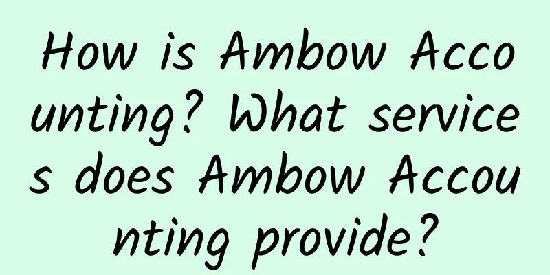 How is Ambow Accounting? What services does Ambow Accounting provide?