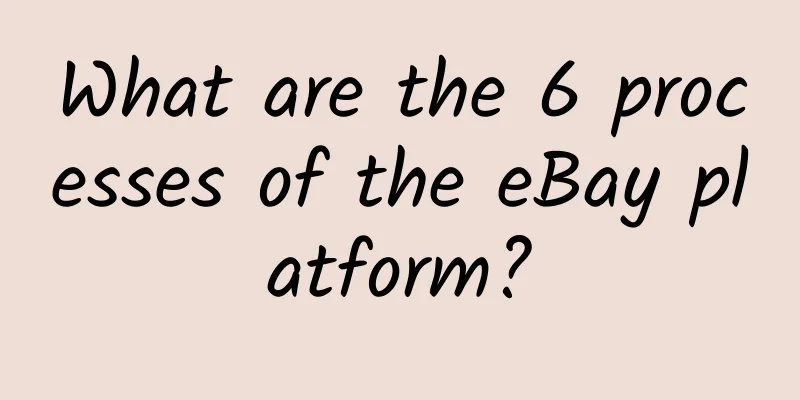 What are the 6 processes of the eBay platform?