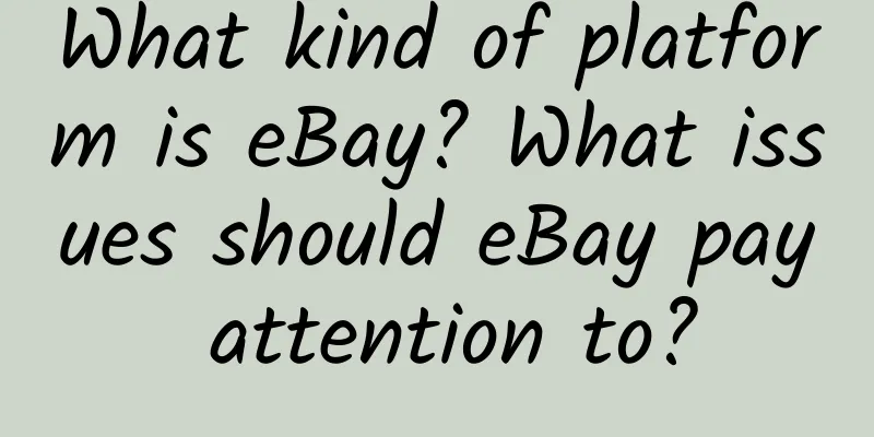 What kind of platform is eBay? What issues should eBay pay attention to?
