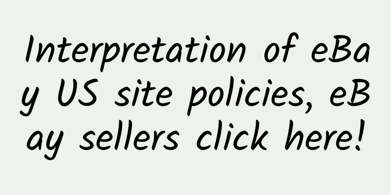 Interpretation of eBay US site policies, eBay sellers click here!