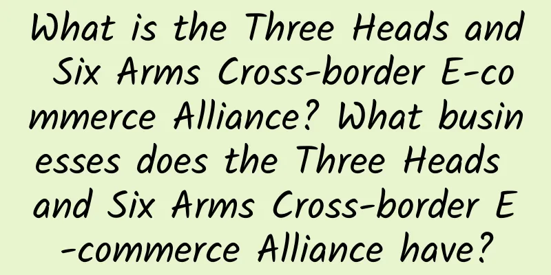 What is the Three Heads and Six Arms Cross-border E-commerce Alliance? What businesses does the Three Heads and Six Arms Cross-border E-commerce Alliance have?