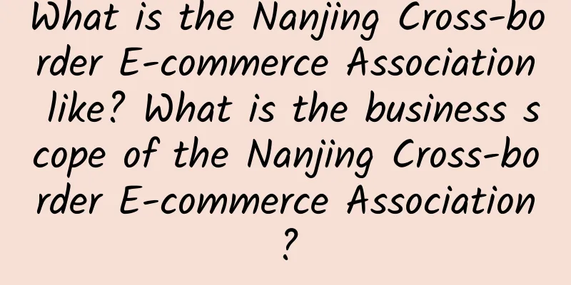 What is the Nanjing Cross-border E-commerce Association like? What is the business scope of the Nanjing Cross-border E-commerce Association?