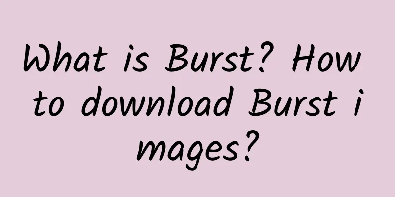 What is Burst? How to download Burst images?