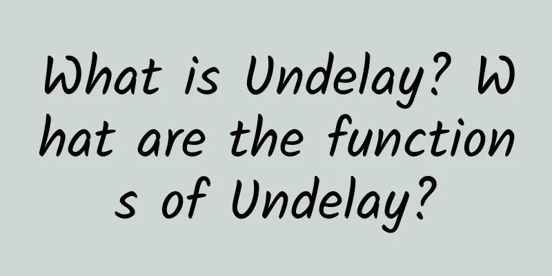 What is Undelay? What are the functions of Undelay?