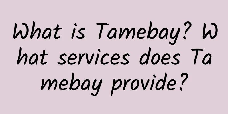 What is Tamebay? What services does Tamebay provide?