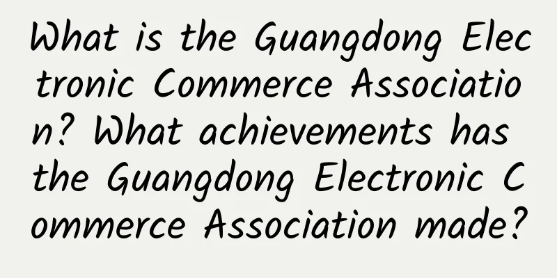 What is the Guangdong Electronic Commerce Association? What achievements has the Guangdong Electronic Commerce Association made?