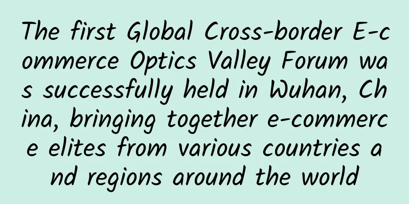 The first Global Cross-border E-commerce Optics Valley Forum was successfully held in Wuhan, China, bringing together e-commerce elites from various countries and regions around the world