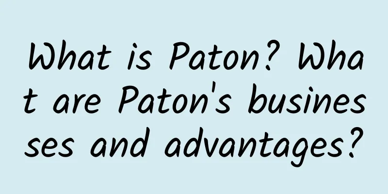 What is Paton? What are Paton's businesses and advantages?