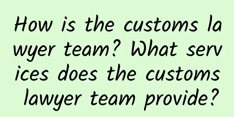 How is the customs lawyer team? What services does the customs lawyer team provide?