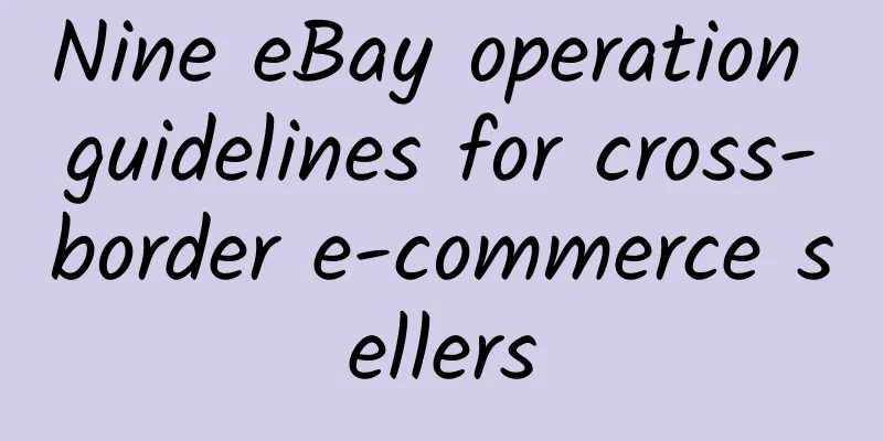 Nine eBay operation guidelines for cross-border e-commerce sellers